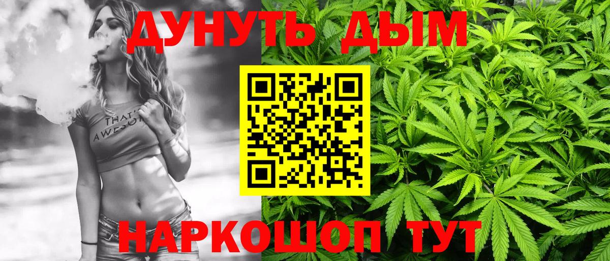 Каннабис SATIVA & INDICA Канск